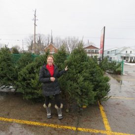 Farmhouse Christmas Image